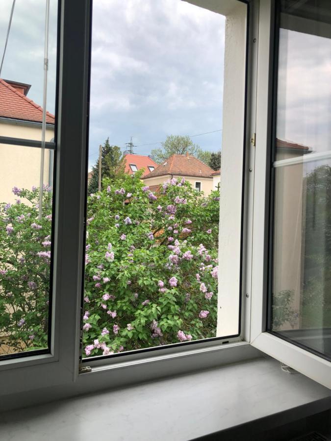Wohlfühloase Nickern Apartment Dresden